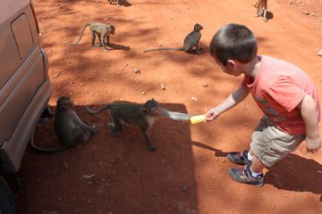 IMG_0401.jpg