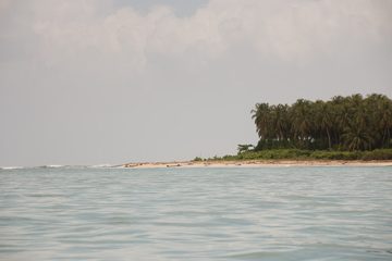 IMG_5499