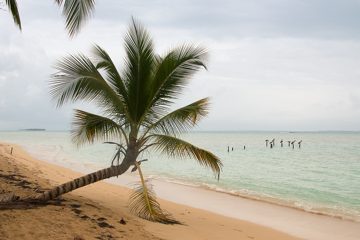 IMG_5452