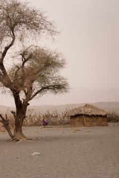 IMG_6795