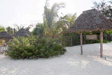 IMG_7786