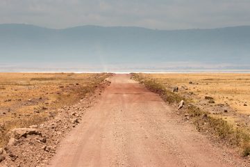 IMG_6255