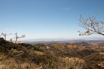 IMG_8654