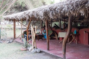 IMG_7030