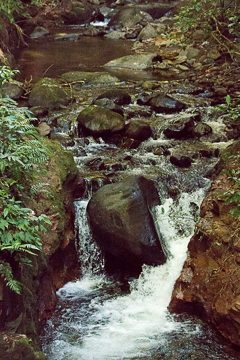 IMG_8700