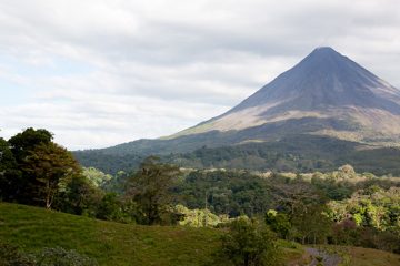 IMG_2651.jpg