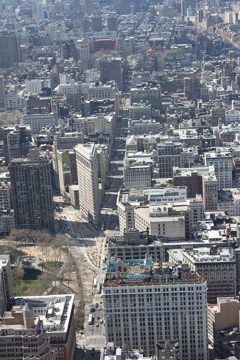 IMG_1294.jpg