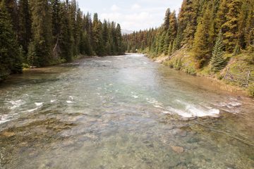 IMG_0051