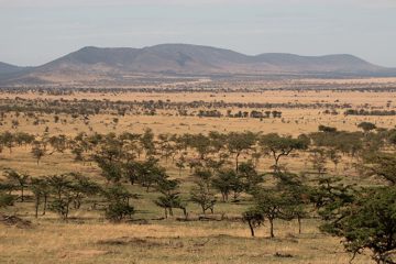 IMG_7353