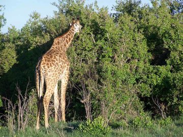 100_1568.jpg
