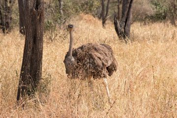 IMG_6085