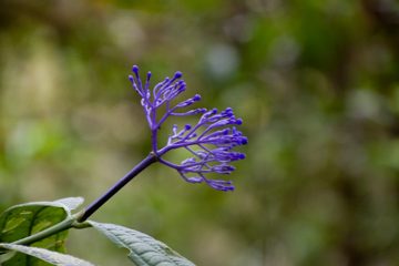 24022012-172.jpg