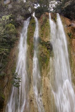 08032013-228.jpg