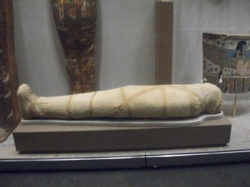 100_0401.jpg