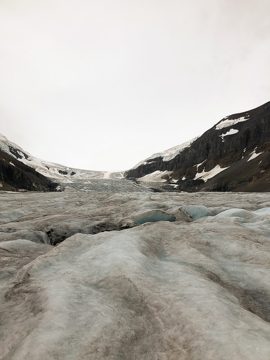 IMG_1269
