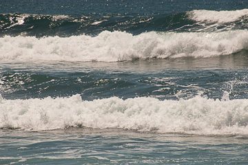 IMG_8928