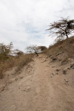 IMG_6651