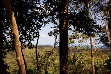 08032013-1.jpg