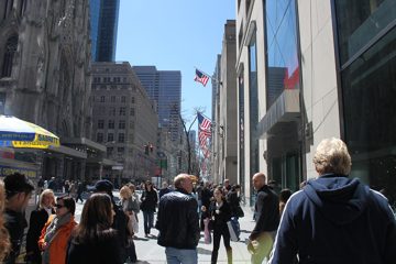 IMG_1379.jpg
