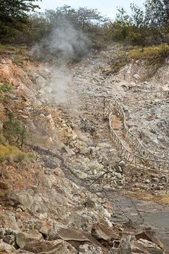 IMG_8797