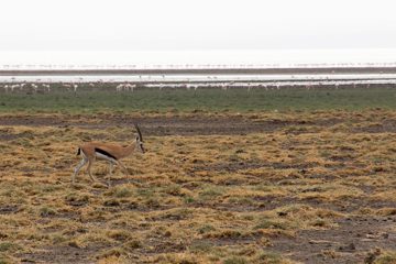 IMG_6869
