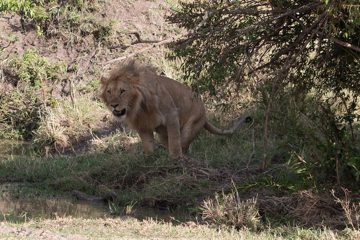 IMG_7541-2