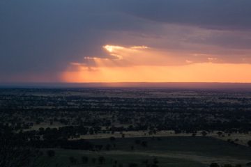 P-IMG_6581-2