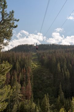 IMG_9984