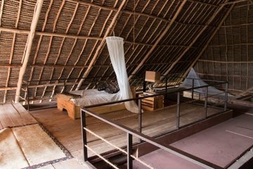 IMG_7933