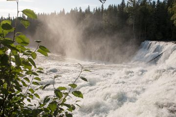 IMG_9970