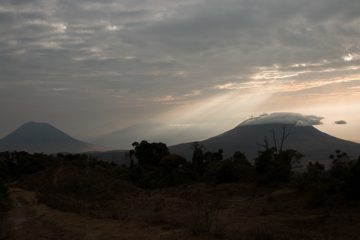 IMG_6601