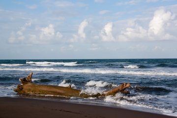 19022012-86.jpg