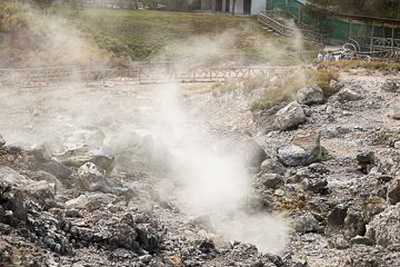IMG_8805