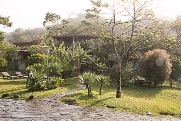 IMG_8731