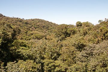 IMG_8711