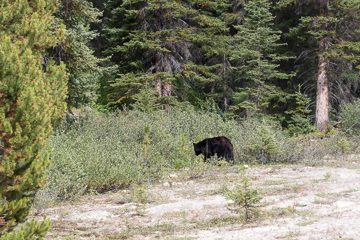 IMG_0413