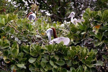05032013-39.jpg