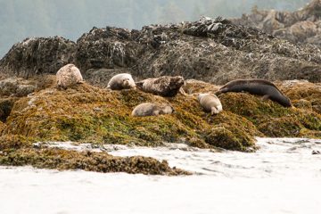IMG_0786