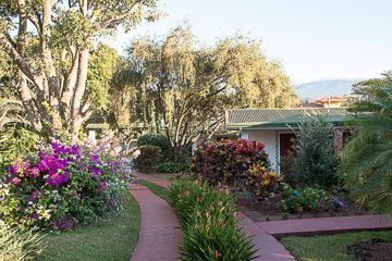 IMG_8637
