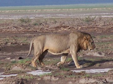 100_1190.jpg