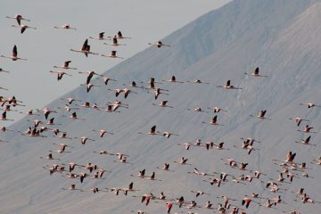 IMG_6909