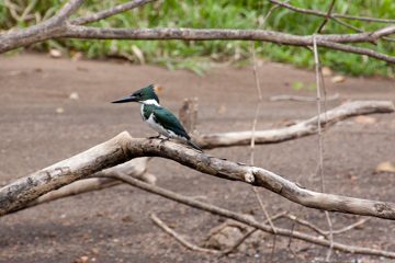 21022012-211.jpg