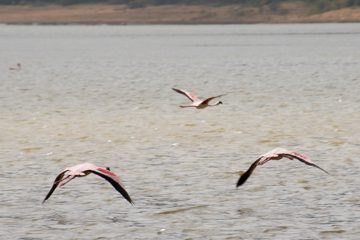 IMG_6549