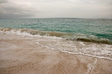 IMG_5578