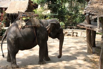IMG_0519.jpg