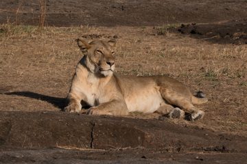 IMG_7290