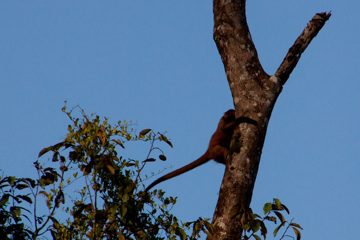 21022012-203.jpg