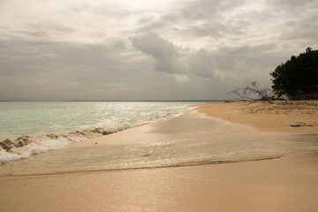 IMG_5529