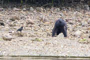 IMG_0837