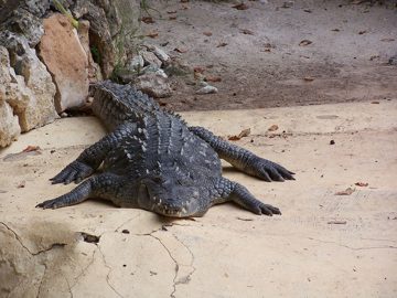 100_2542.jpg